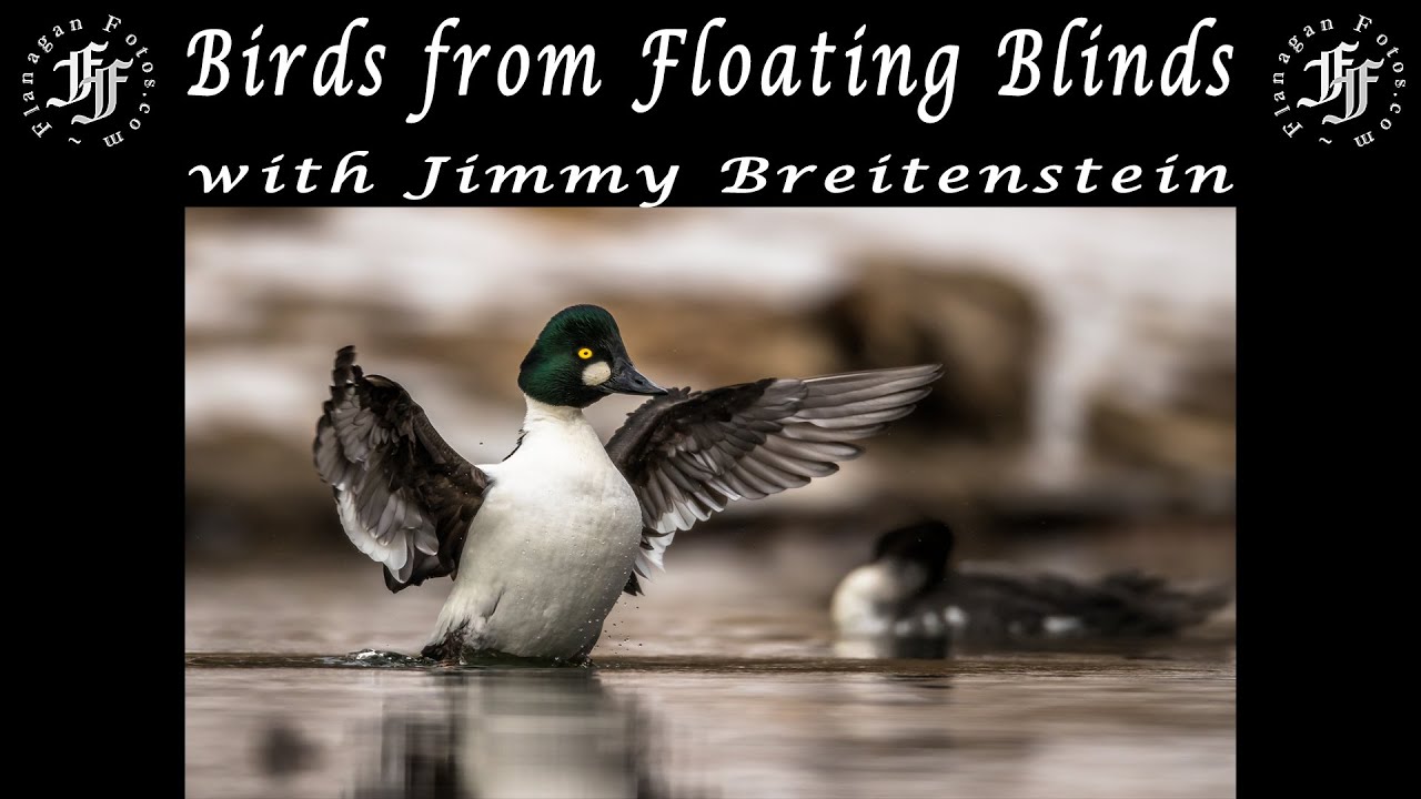 Floating Blinds for Great Bird Photos