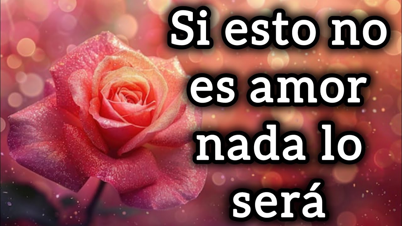 Si esto no es amor nada lo será 