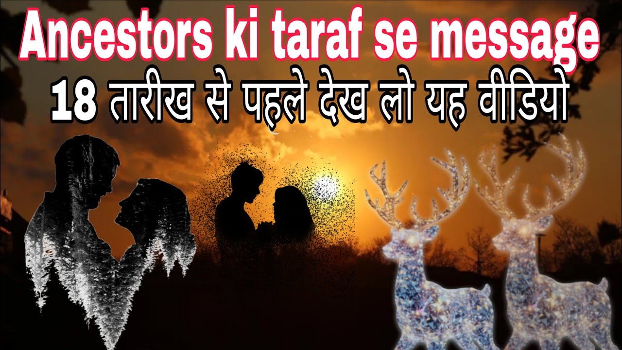 🌠🧿UNIVERSE GUIDANCE ✨🔮ll SHIVANI TAORT ll Hindi tarot card reading 