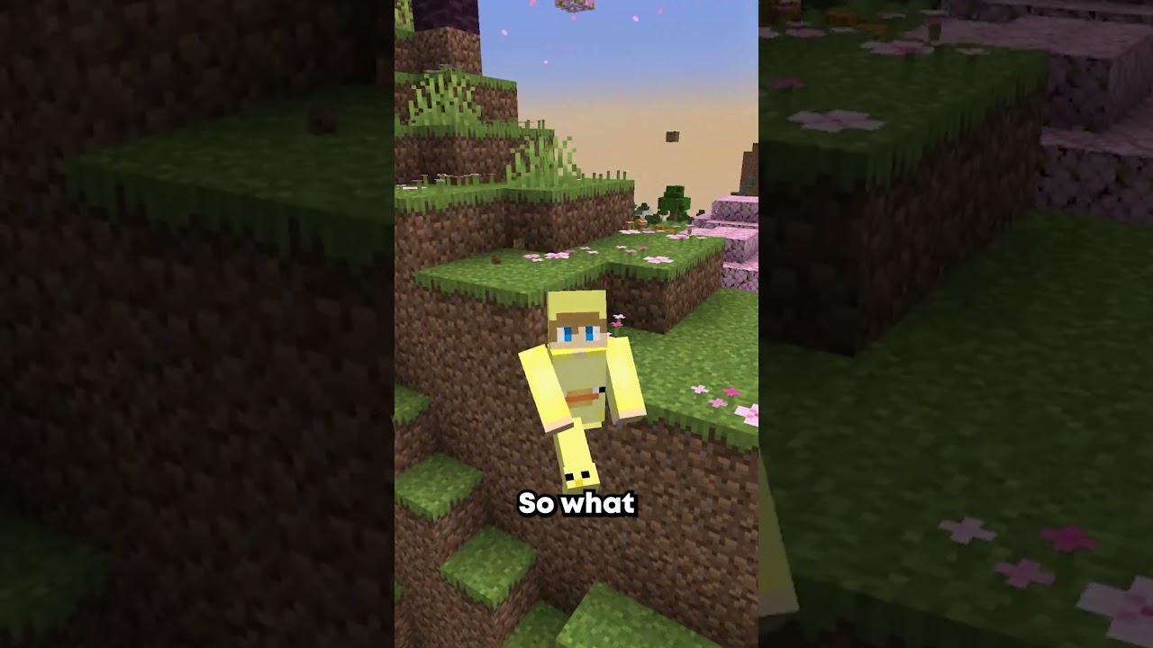 The Rarest Seed in Minecraft! (Rarer Than Fully Completed End Portal)