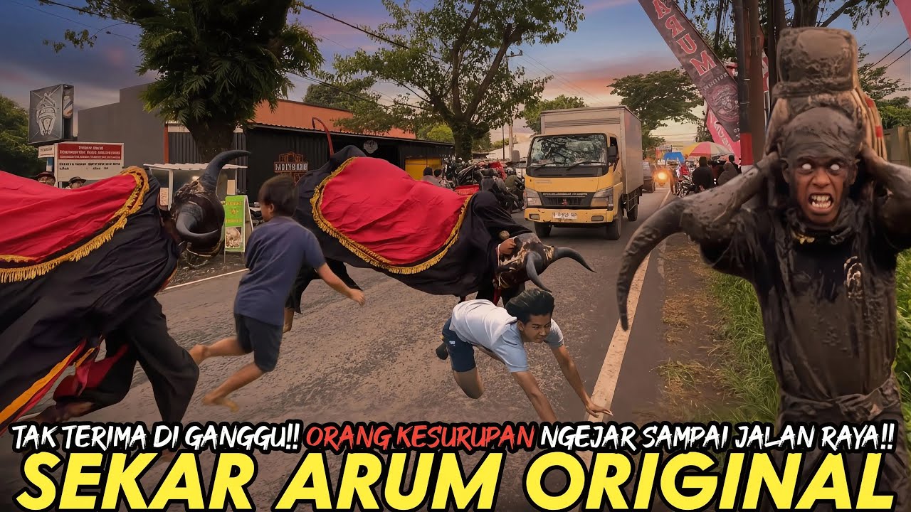 HOROR!! KESURUPAN SAMPAI DI TENGAH JALAN RAYA!!! BANTENGAN SEKAR ARUM ORIGINAL!!