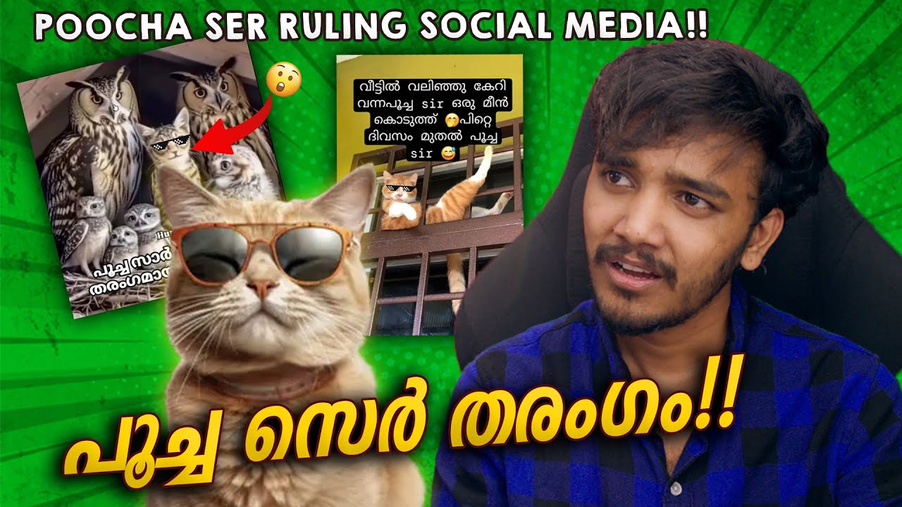 POOCHA SER REACTION!!😹😹
