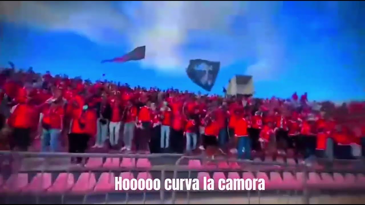 CURVA LA CAMORA  [ViraGe SamBa]