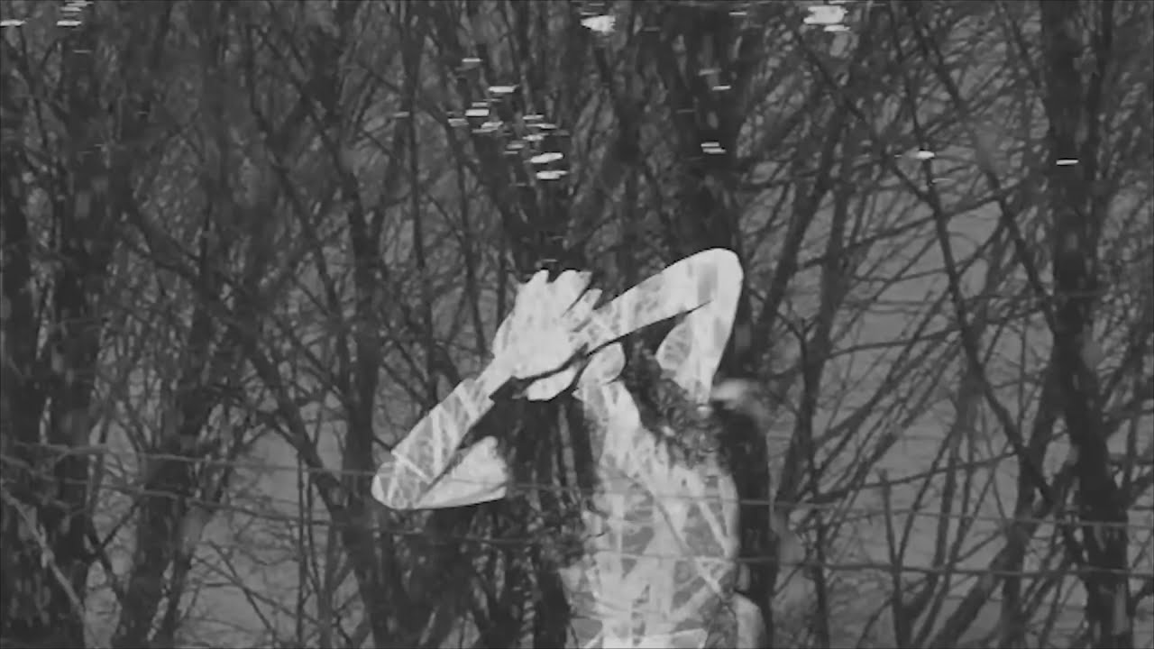 Marissa Nadler - Janie In Love (Official Video)