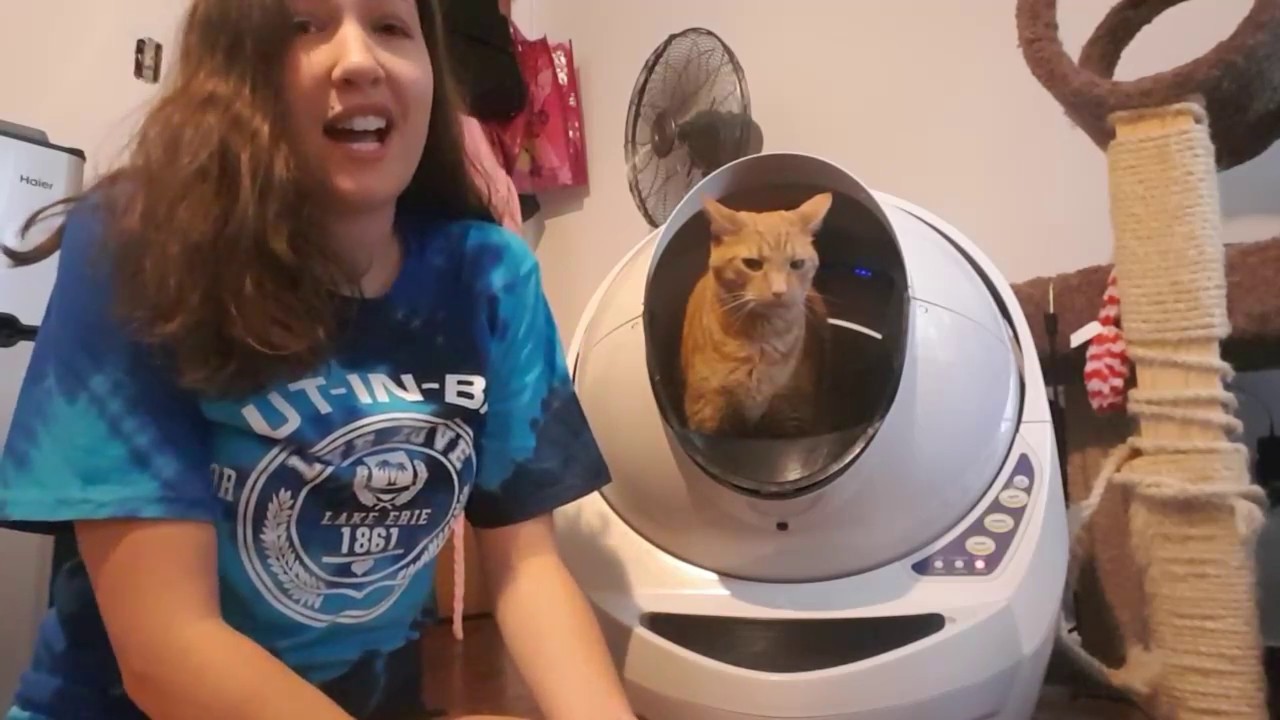 My cats and I can't get enough of the Litter-Robot!  | A Litter-Robot Testimonial