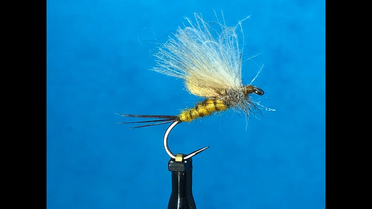 Montage d'une émergente de Mouche de Mai