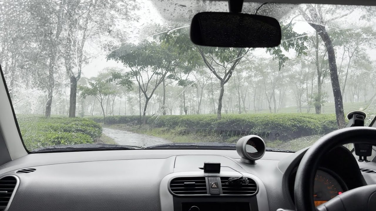 The sound of rain on the car