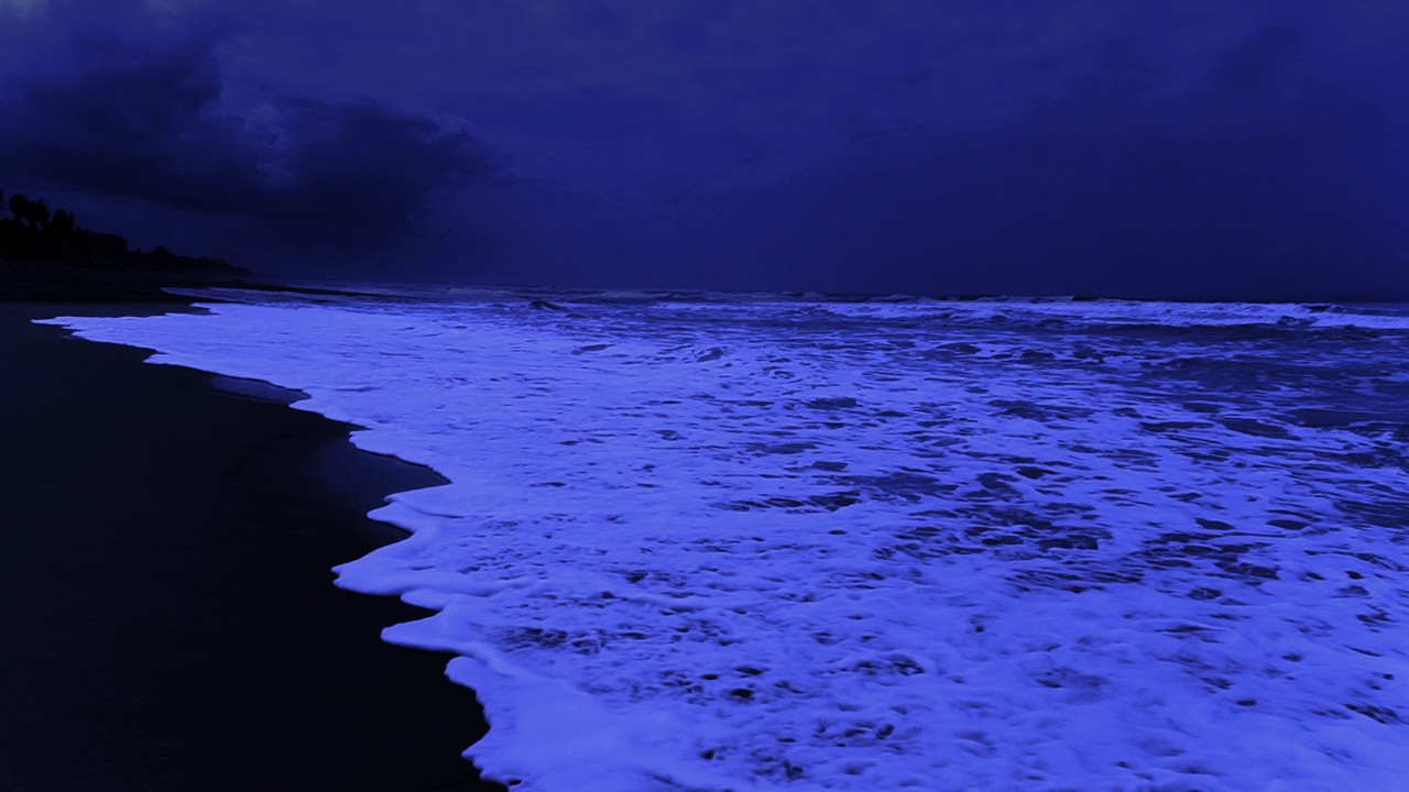 Deep Sleep for 10 Hours Straight | Healing Ocean Wave Ambience in a Silent Midnight Night
