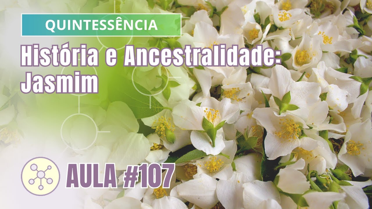 Aula #107 Quintessência - História e Ancestralidade: Jasmim