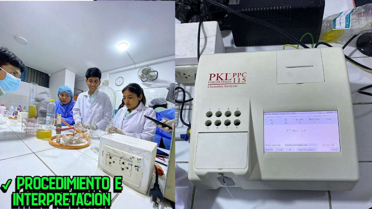 Programando Insertos de Bioquímica: Pasos clave para la Interpretación