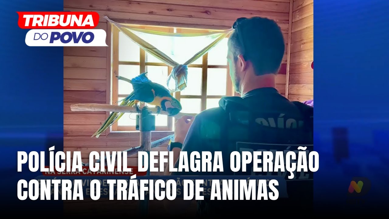 Operação resgata mais de 20 animais silvestres na Serra Catarinense