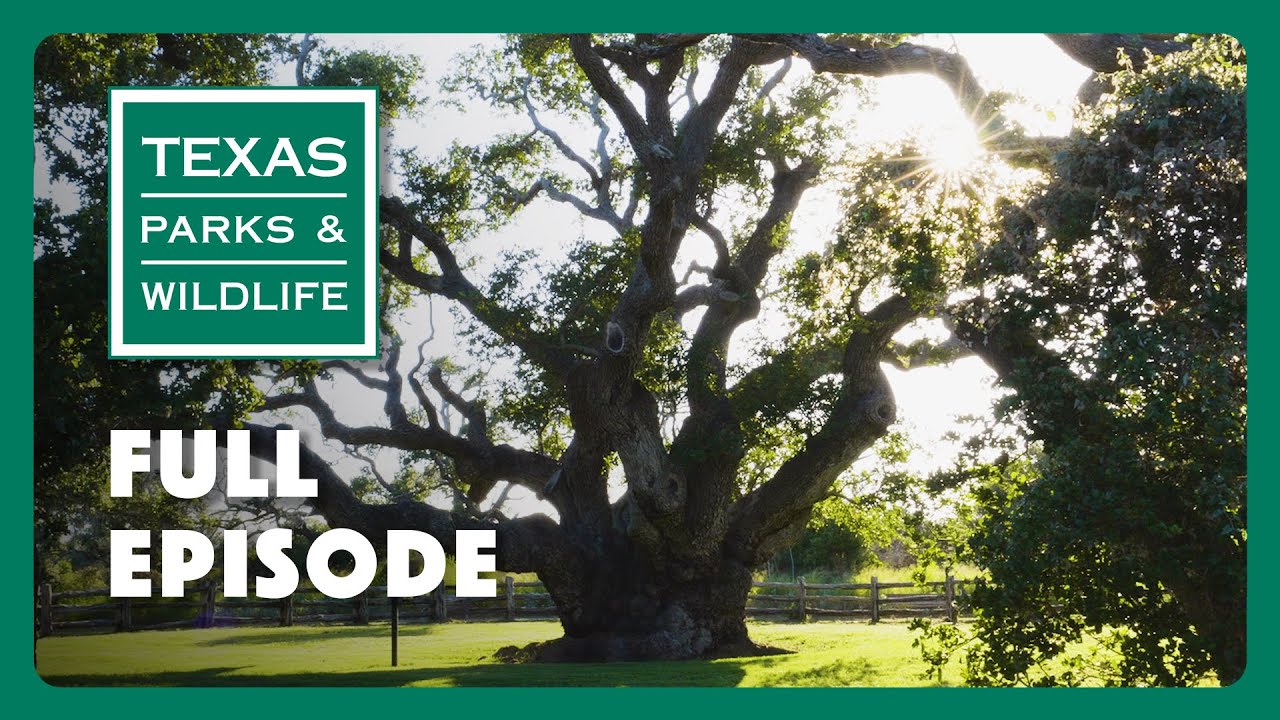 PBS Show - Goose Island State Park & More