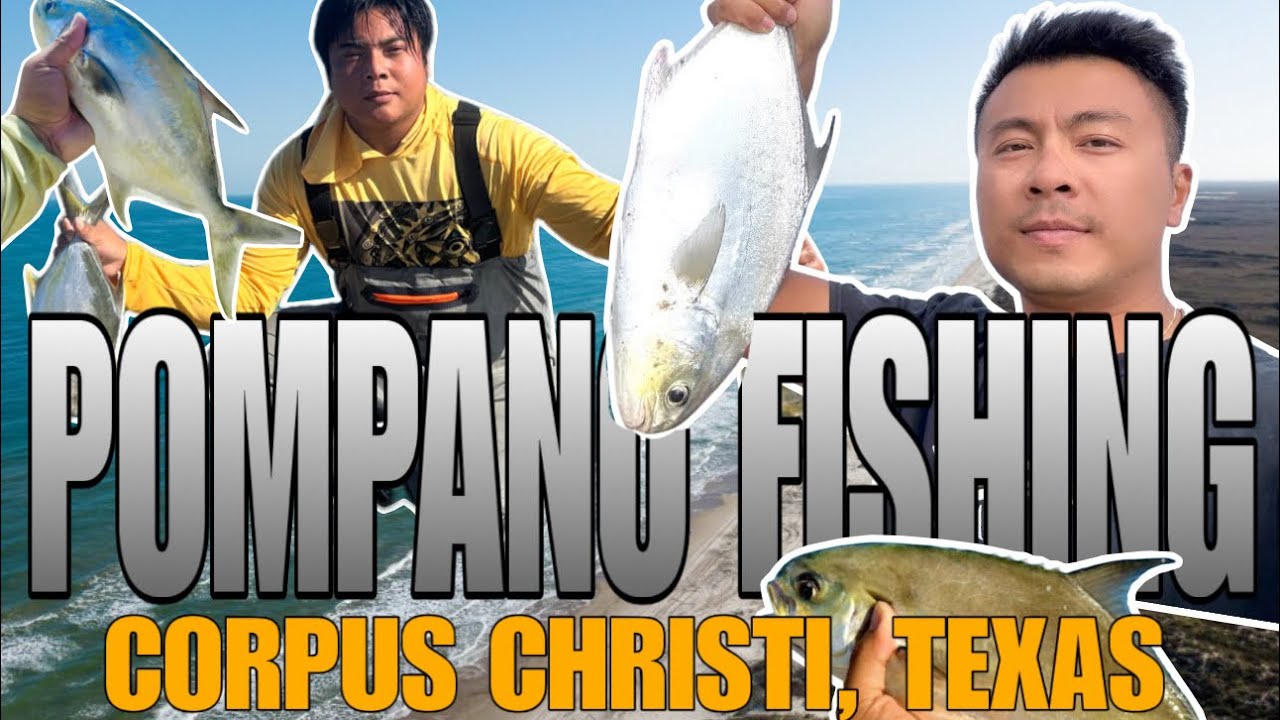 POMPANO FISHING GREAT HAUL 50+ FISH IN CORPUS CHRISTI, TEXAS (Câu Cá Chim Vàng)