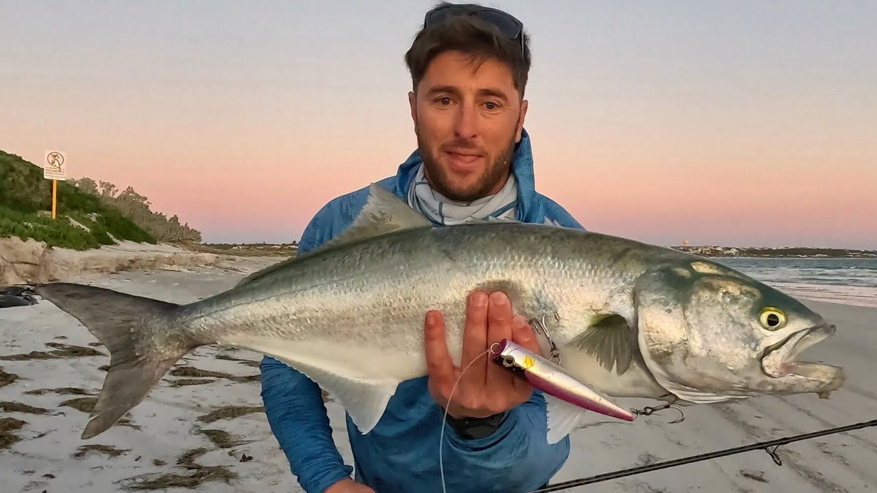 Fishing for Monster Tailor!