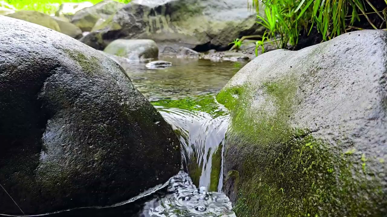 Gentle Stream ASMR 💧 Soft Flowing Water Between Mossy Rocks | 4K Nature Sounds
