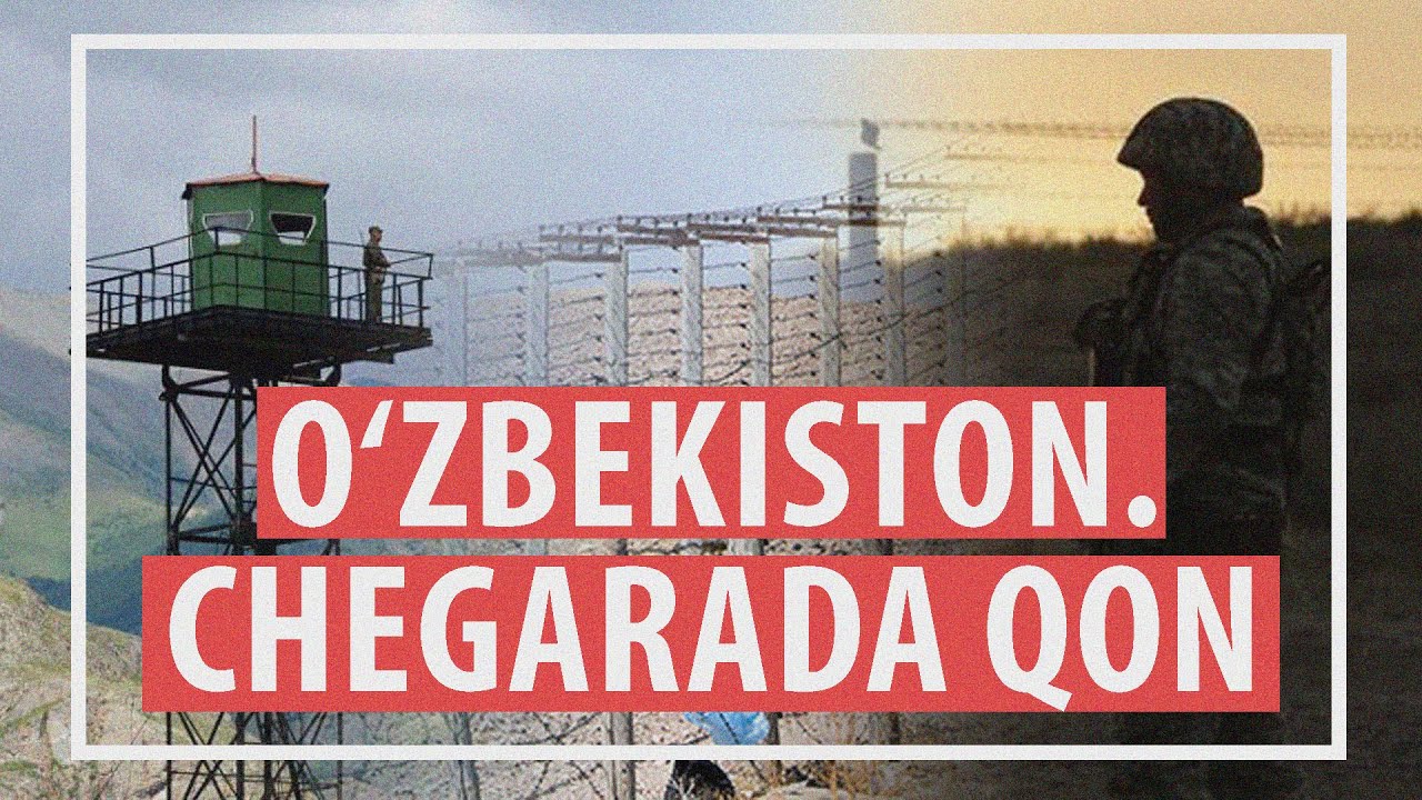 OZODNEWS: Tadbirkor reyderlikdan shikoyat qildi | Ukrainaga bosqin: 1286-kun
