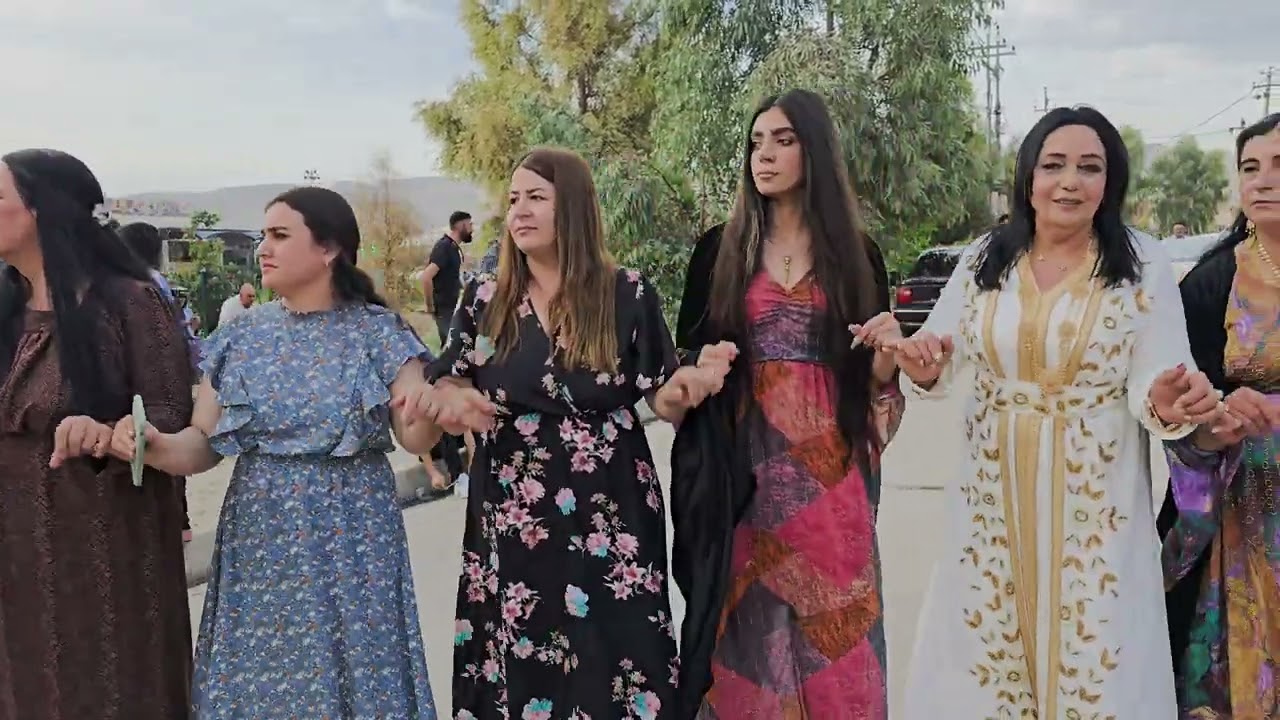 هيفارا توافا شيشمس 8.5.2025