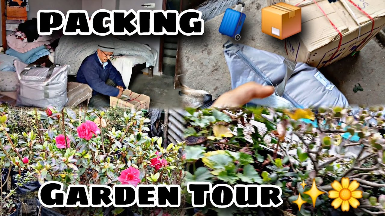  ||Back To Kalimpong🥺 ||Our Small Flower Garden Tour ✨️💐|Irritating To My Sister 🤧