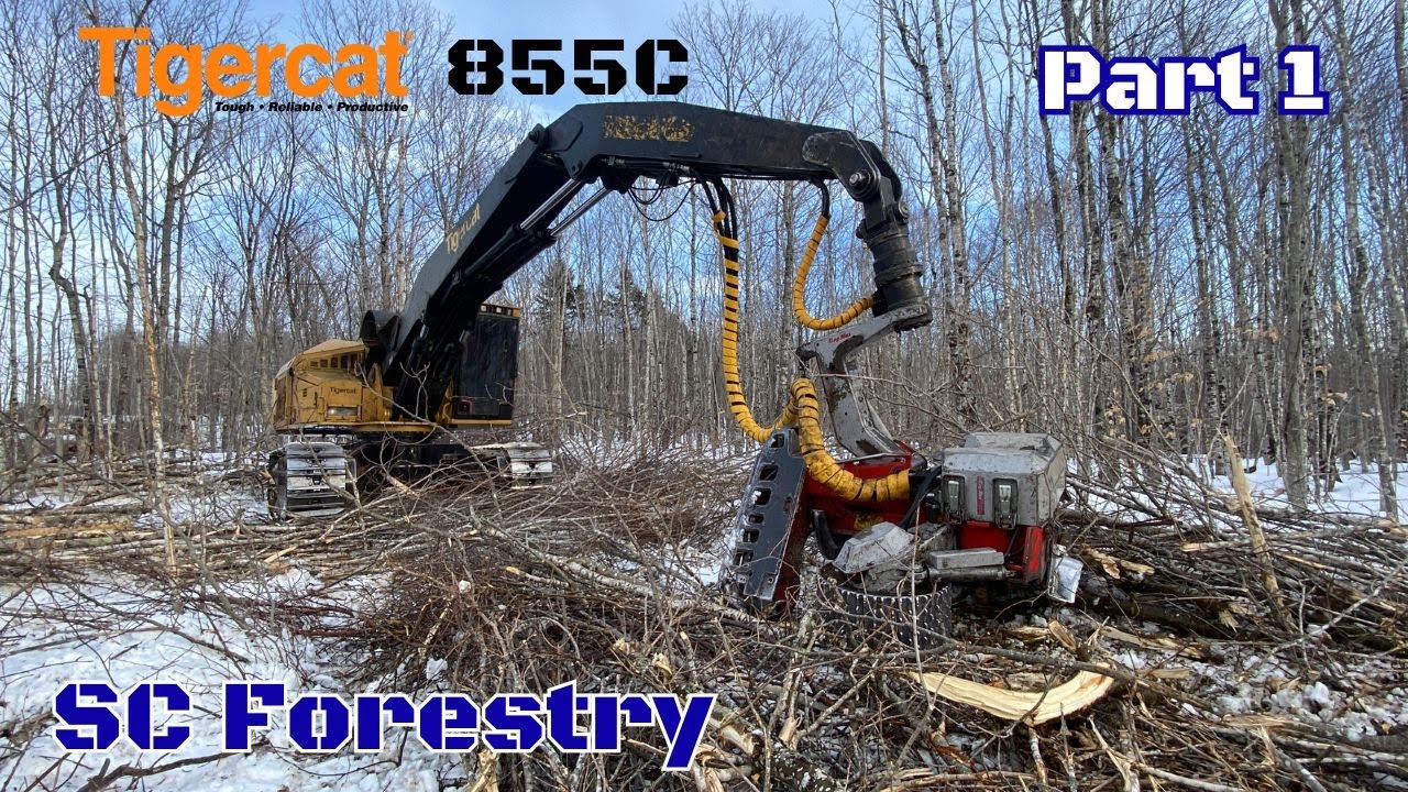 Tigercat 855C with LogMax 7000 Harvester in Hardwood