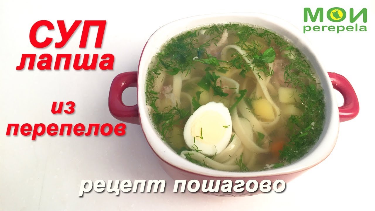 Суп лапша рецепт. Как приготовить. Из перепелов, между прочим))