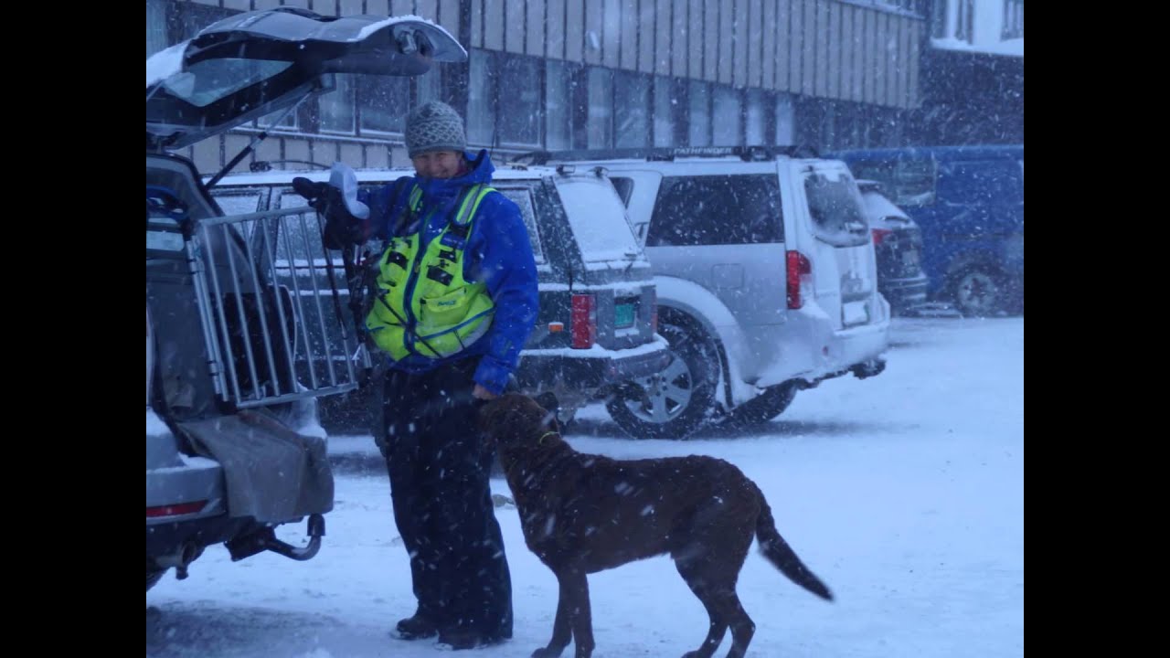 Hornsjøen 1helg februar 6   7, 2015