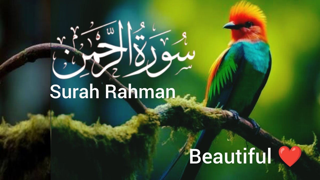 Surah Rahman   (سورۃ الرحمٰن ) quran Kareem tilawat Hafiz Javed beautiful video 