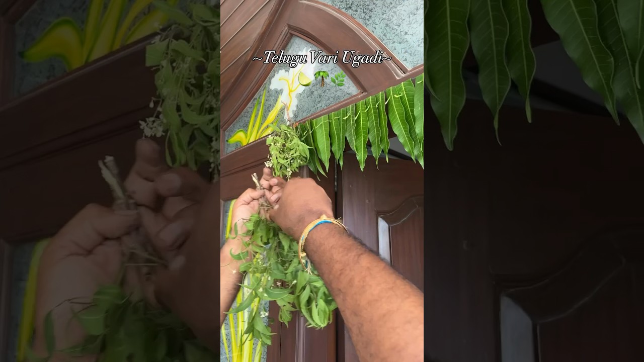 Telugu Vari Ugadi🌴🍋&zwj;🟩🌿#ugadi#festival#indian#traditional#food#family#fun#youtubeshorts#trending