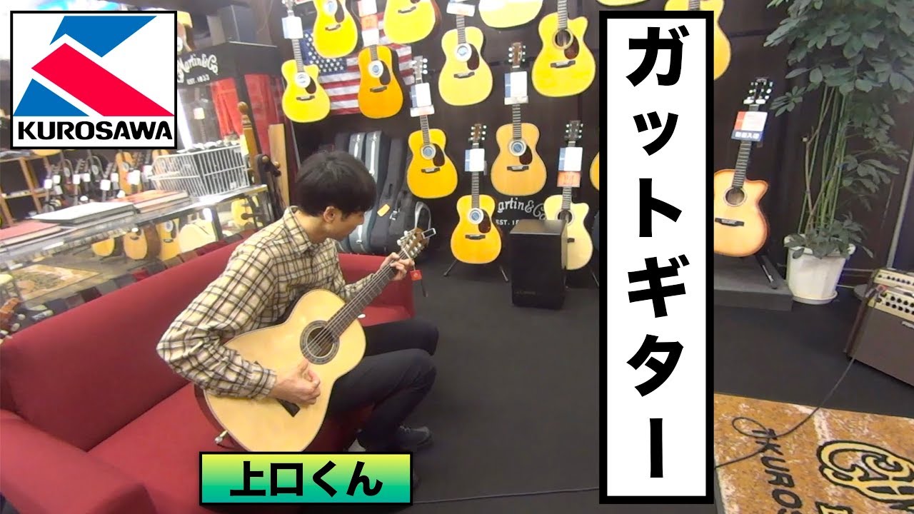 １０万円台のガットギター３本をお茶の水で試奏してきました！at クロサワ楽器 Dr.Sound