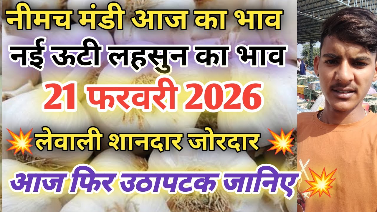 नीमच मंडी आज का नई लहसुन का भाव  / Neemuch mandi bhav today /Neemuch mandi lahsun bhav