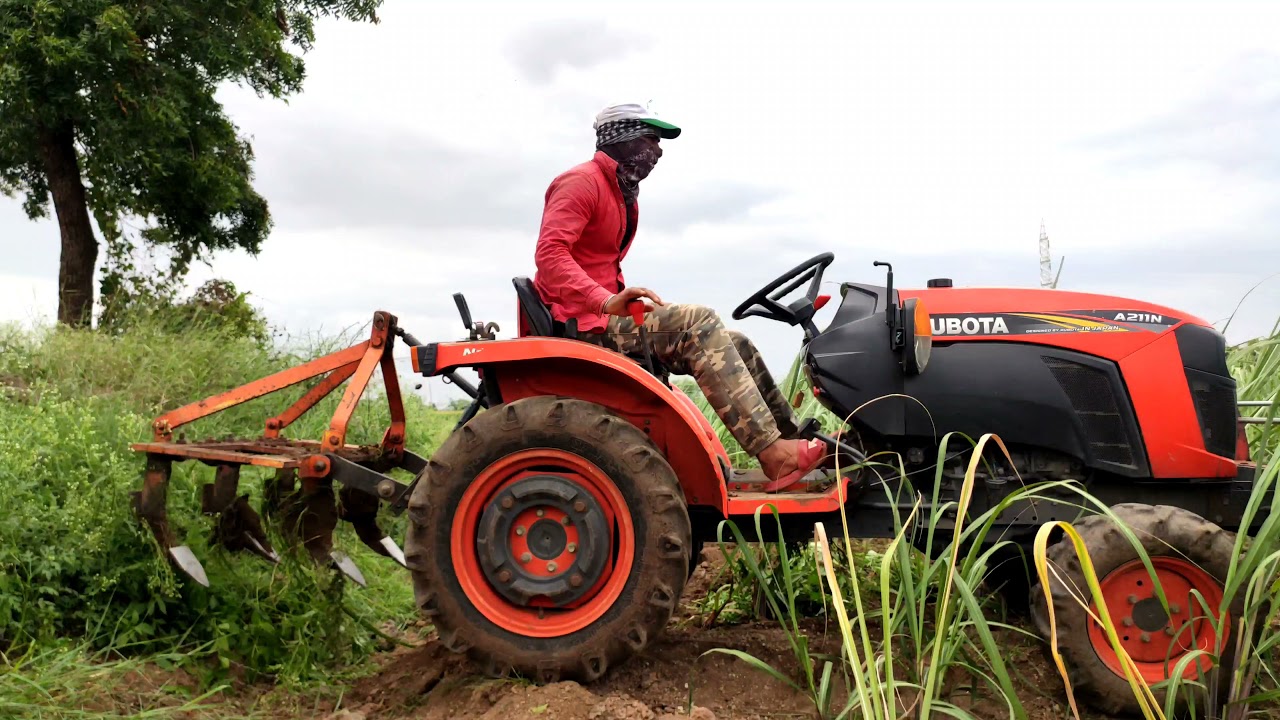 Kubota Tractor A211N 21Hp  Sugarcane Specialist At Sugarcane Farm With 4 In 1 Implement