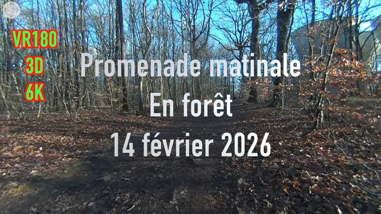 VR180 3D - 6K - ALLONNES Promenade matinale - 14 février 2026