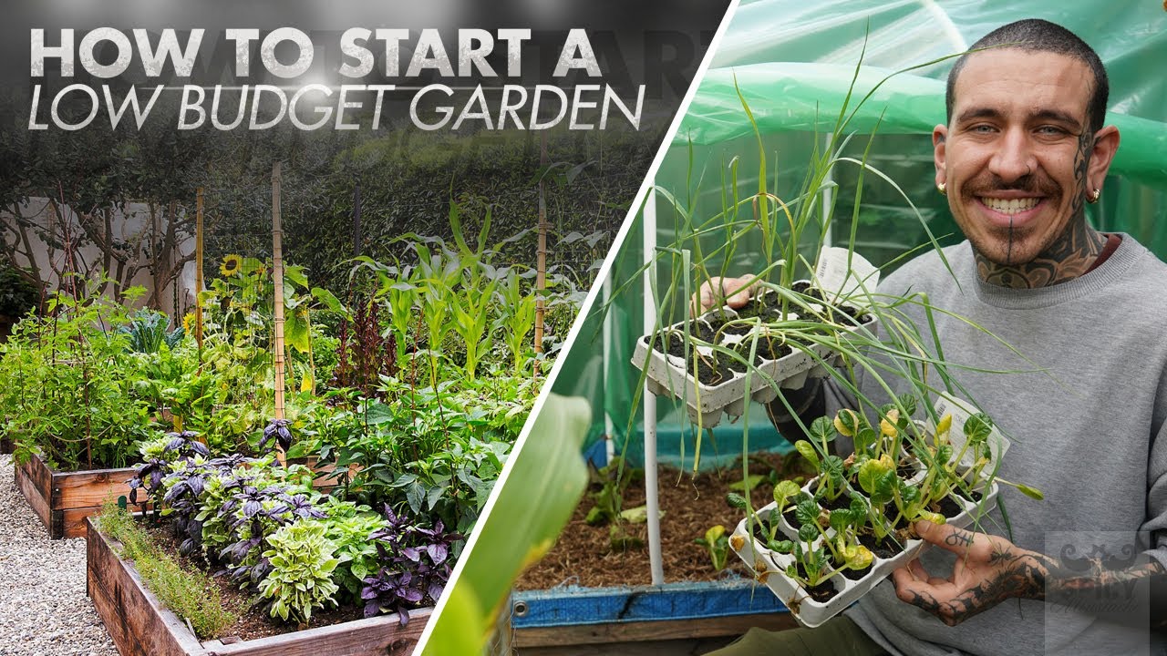 How to Start a Low Budget Garden