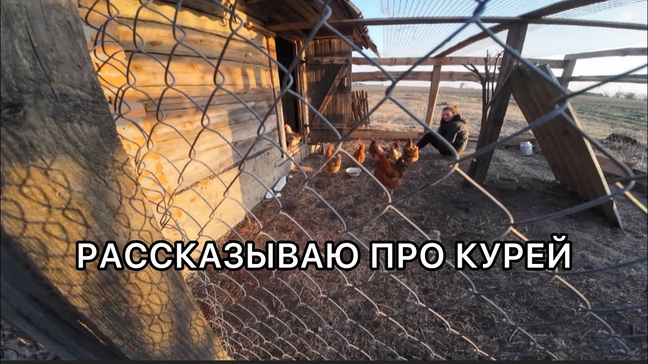 Мы вас немножко обманывали… Кем устроился Денис? 