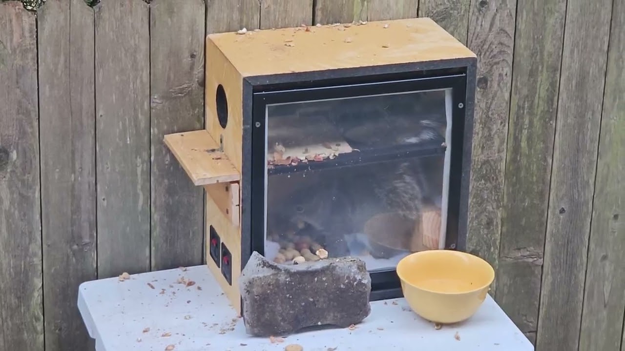 Squirrels and the Subwoofer Suite