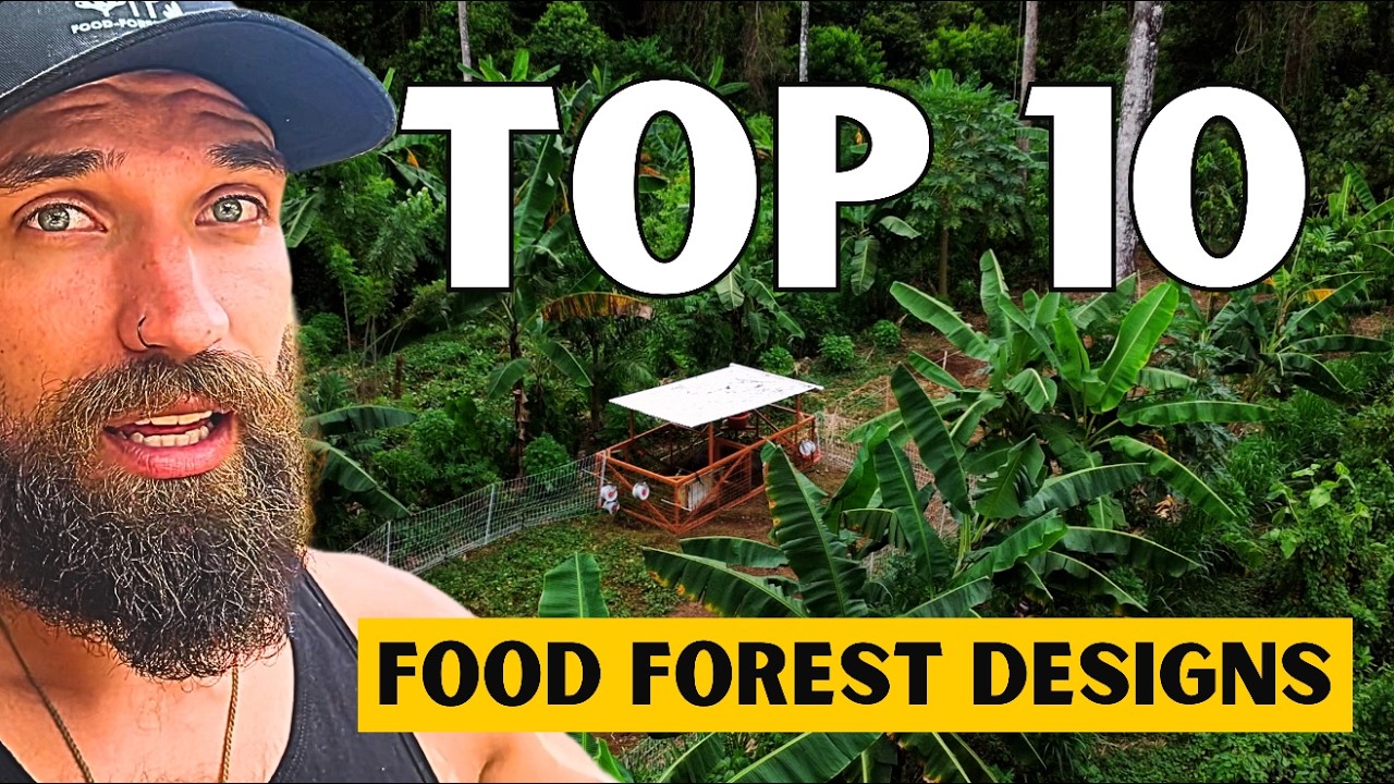 Top 10 Syntropic Farms I’ve Visited (Design Patterns You Can Copy)