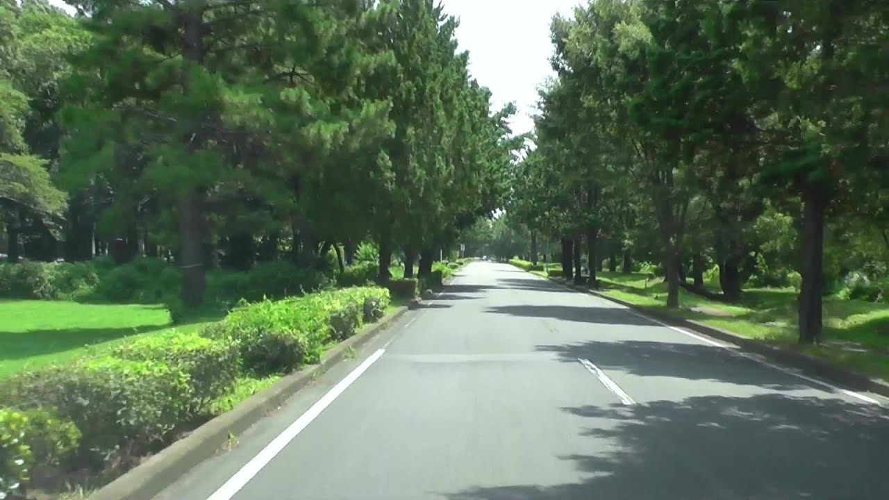 【車載動画】ぐるり 秋ヶ瀬公園