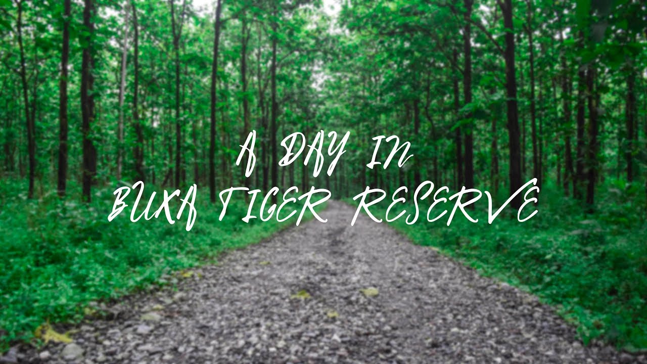 A DAY IN BUXA TIGER RESERVE | A CINEMATIC FILM | DEBJIT BASAK