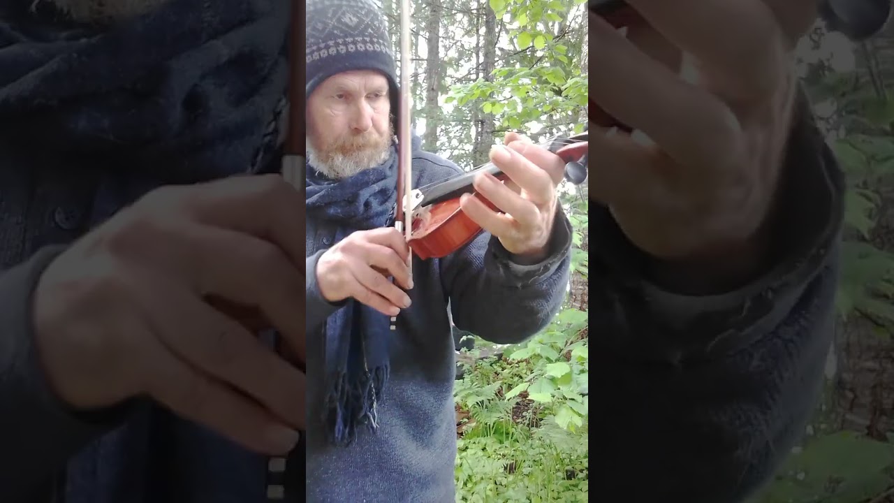 violin test 3