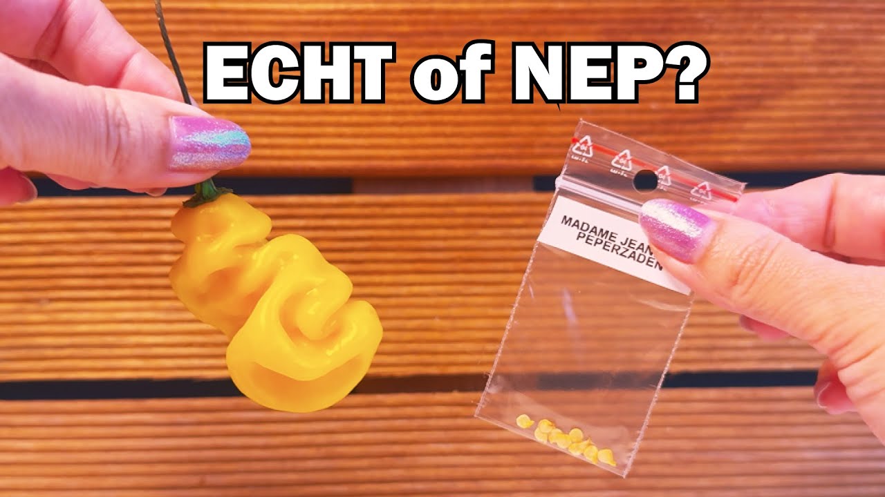 Madame Jeanette zaden test: Hoe herken je echte peperzaden? (3 bronnen vergelijken)