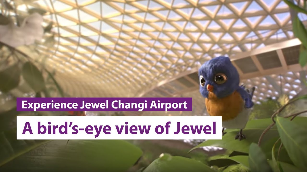 A bird&rsquo;s-eye view of Jewel Changi Airport