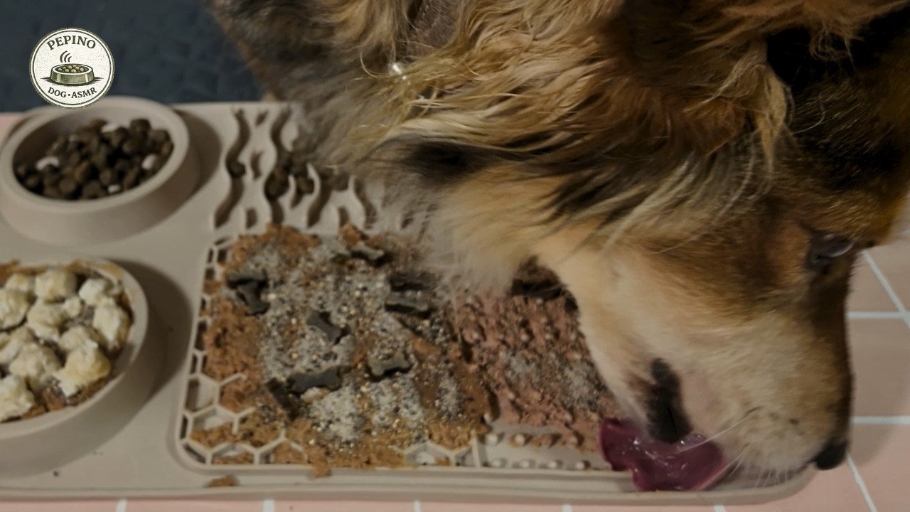 Dog Lick Mat ASMR | 12 Min Calm Licking & Soft Crunch