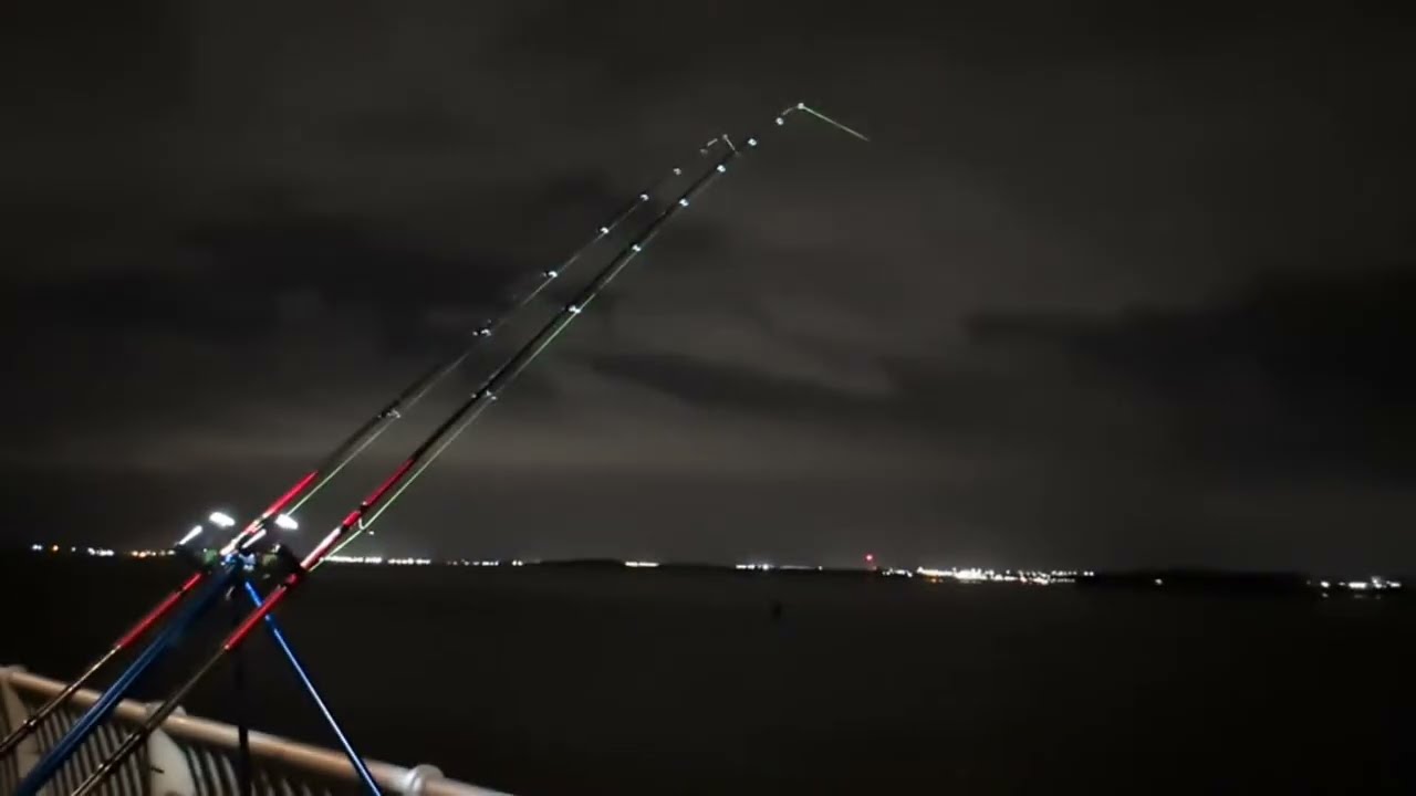 Live Sea Fishing Uk is live otterspool LW 2130 Failed cod hunt 😭