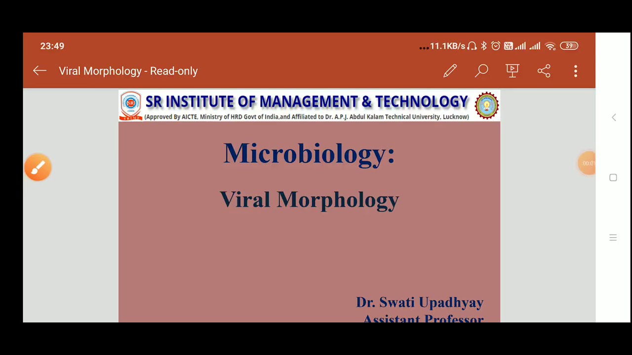 Viral Morphology| Morphology of virus || Structure of virus||| Virus: Structure