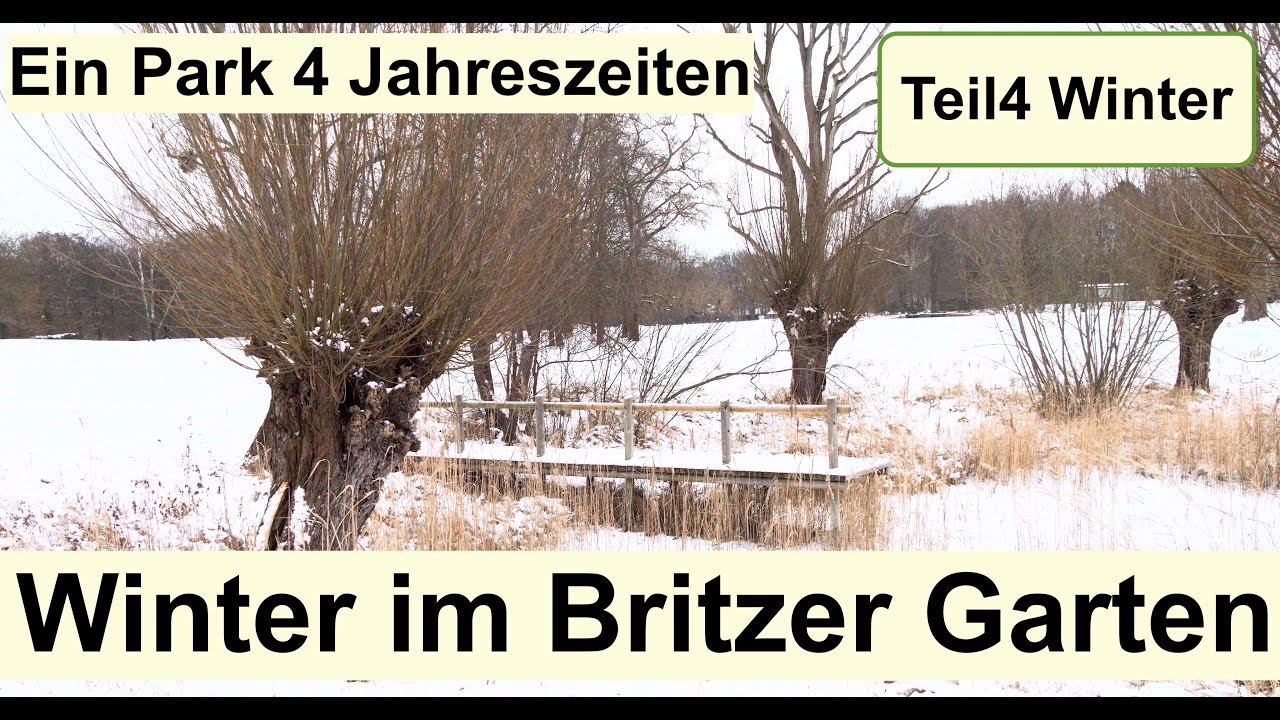 SCHNEE IM BRITZER GARTEN - Winter Impressionen-ein knirschender Spaziergang in HDR