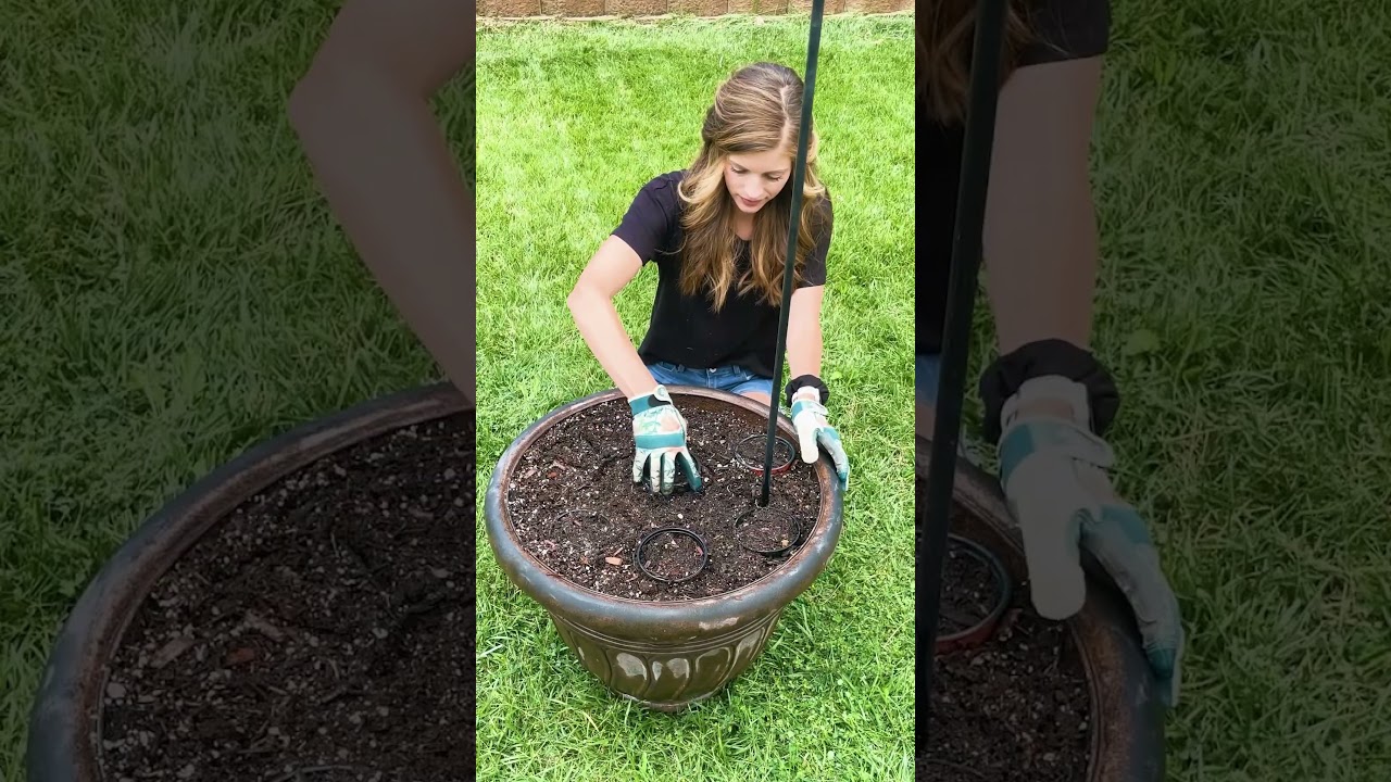 Double planter hack to brighten up the back patio 🪴💡 #pottedplants #pottinghacks #outdoordecor