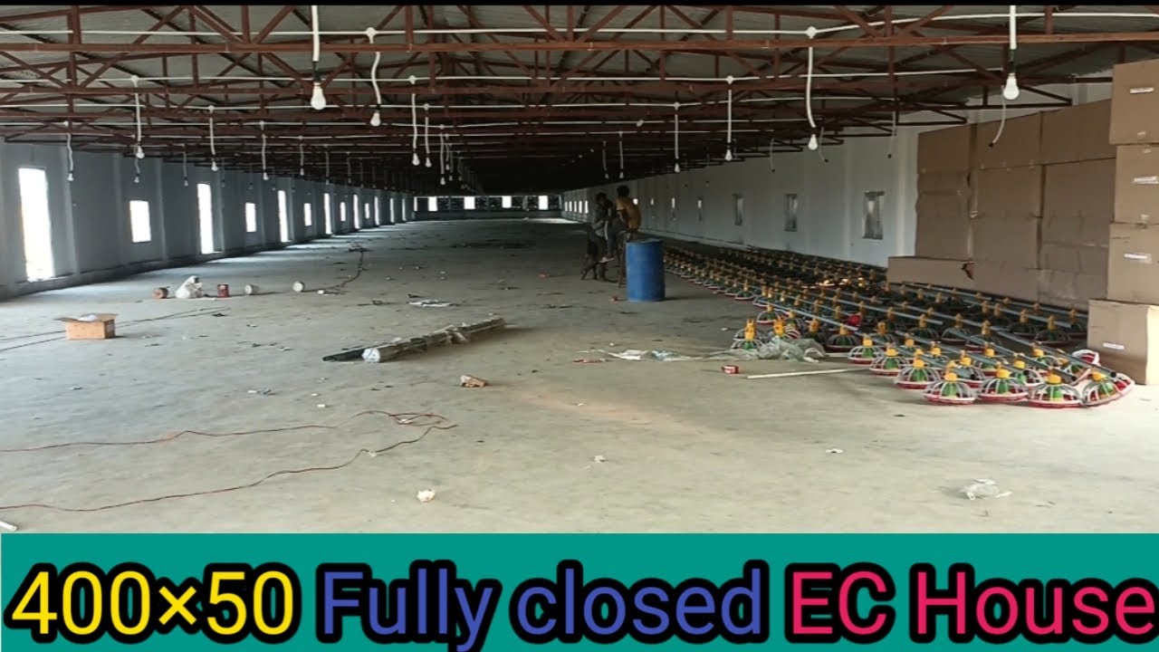 400×50 Fully closed EC House 90% Work finish||EC Poultry farm||