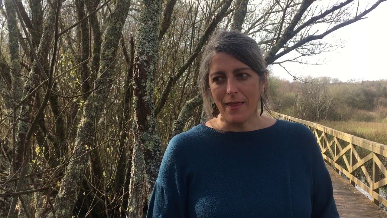 P&iacute;ldoras de literatura. T&oacute;picos literarios: Locus amoenus