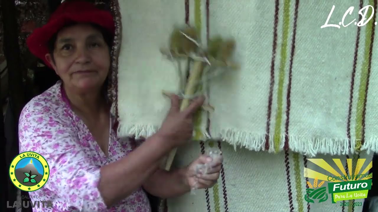 HILOS CON HISTORIA LA UVITA BOYACÁ