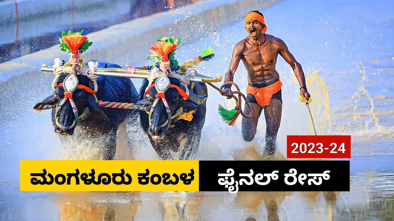 Mangalore Kambala Final race 2023 | ಮಂಗಳೂರು ರಾಮ ಲಕ್ಷ್ಮಣ ಕಂಬಳ  ಫೈನಲ್ ರೇಸ್