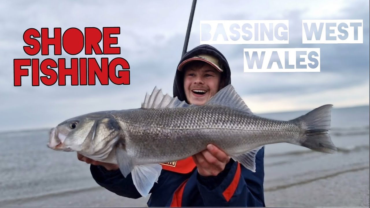 Shore fishing - PB bass in Western Wales